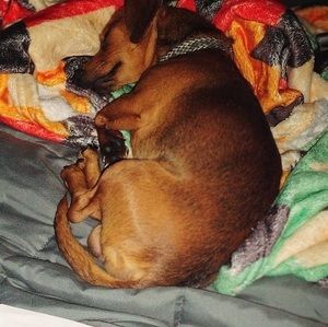 Meet your Posher, Kenidee